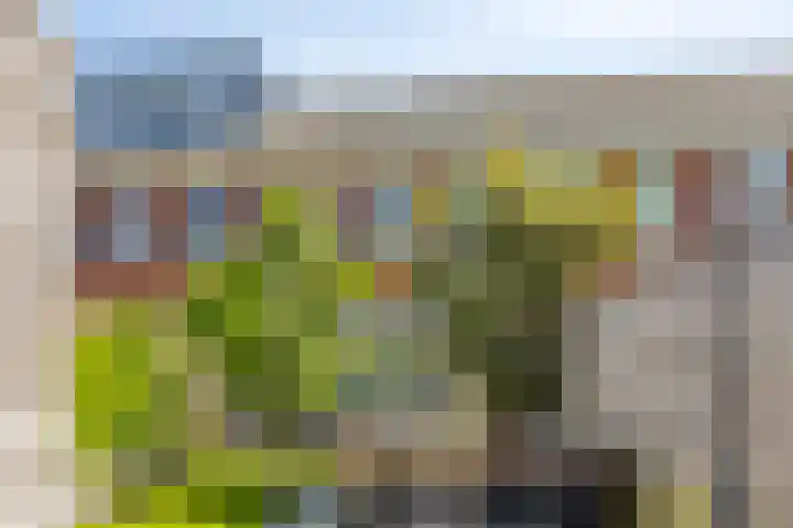 Bouwkamp 11 Kampen thumbnail 29