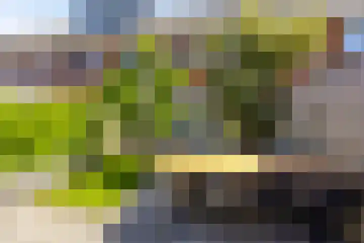 Bouwkamp 11 Kampen thumbnail 30