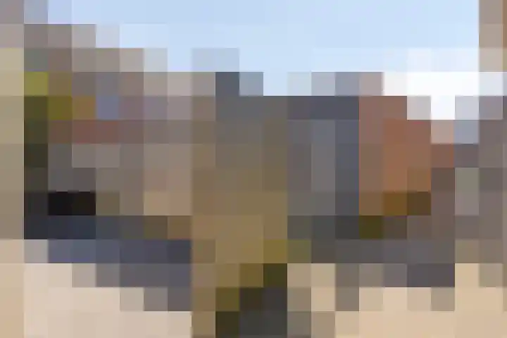 Bouwkamp 11 Kampen thumbnail 31