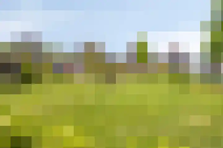 Bouwkamp 11 Kampen thumbnail 32