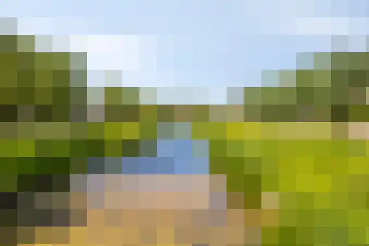 Bouwkamp 11 Kampen thumbnail 34