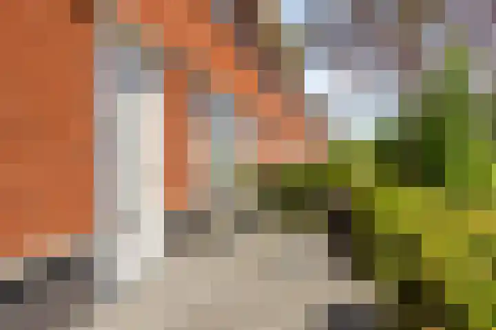Bouwkamp 11 Kampen thumbnail 40