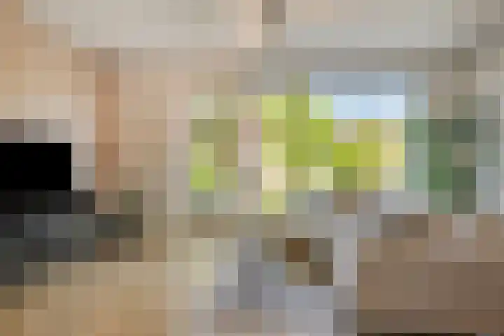 Bouwkamp 11 Kampen thumbnail 5