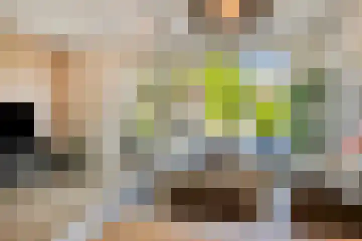 Bouwkamp 11 Kampen thumbnail 7