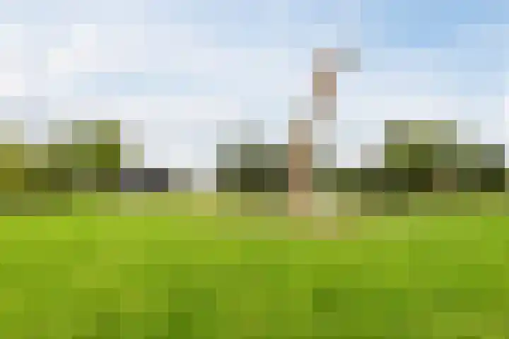 Bouwkamp 33 Kampen thumbnail 54