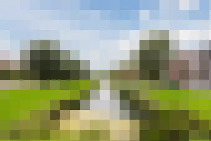Bouwkamp 33 Kampen thumbnail 55
