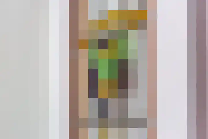 Bouwstraat 6 Utrecht thumbnail 11