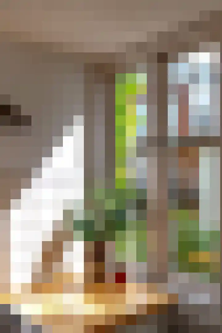 Bouwstraat 6 Utrecht thumbnail 16