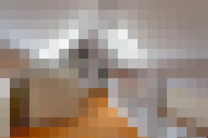 Bouwstraat 6 Utrecht thumbnail 38