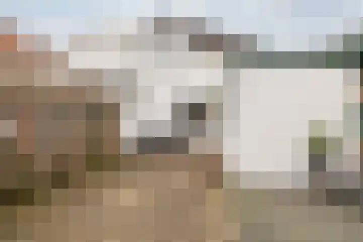 Boven Westerdiep 85 Veendam thumbnail 34
