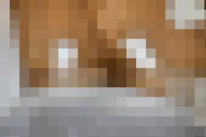 Bovendeks 15 Enkhuizen thumbnail 28