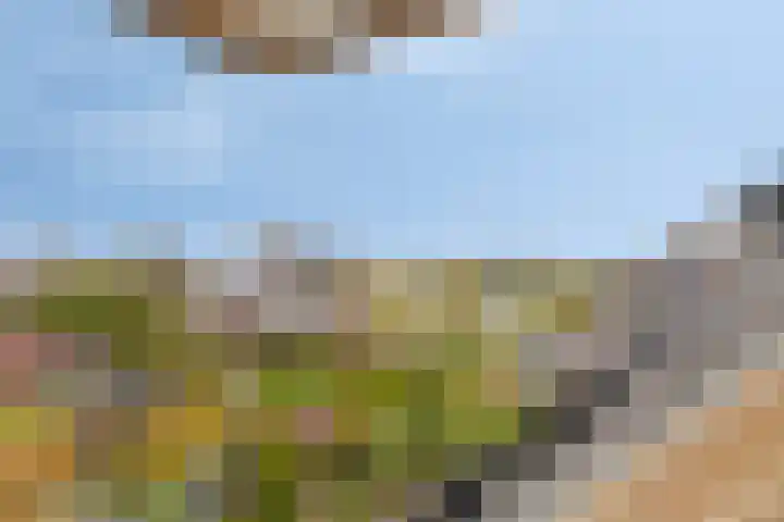 Bovendeks 15 Enkhuizen thumbnail 30