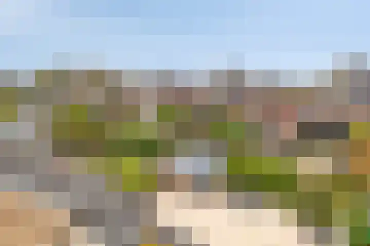 Bovendeks 15 Enkhuizen thumbnail 31