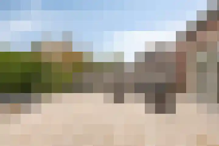 Bovendeks 15 Enkhuizen thumbnail 33