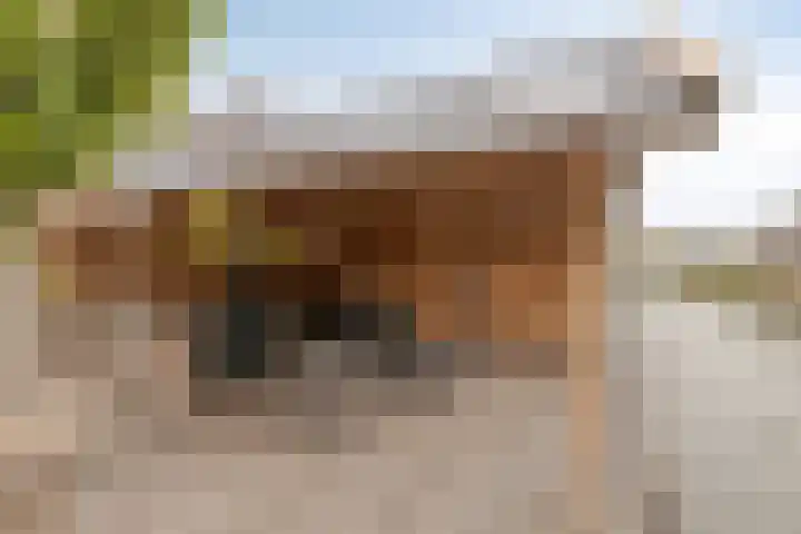 Bovendeks 15 Enkhuizen thumbnail 36