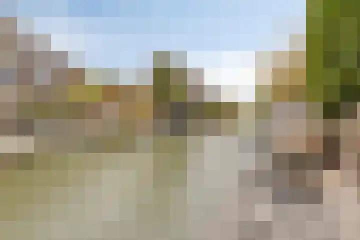 Bovendeks 15 Enkhuizen thumbnail 41