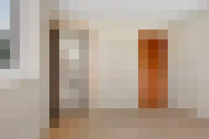 Boveneind 95 Leek thumbnail 13