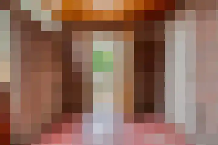 Boveneind 95 Leek thumbnail 15