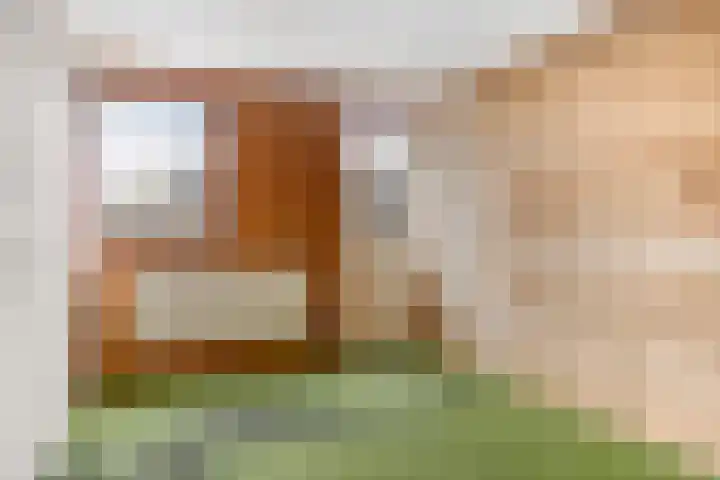 Boveneind 95 Leek thumbnail 18