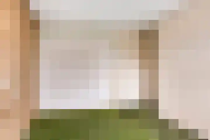 Boveneind 95 Leek thumbnail 19