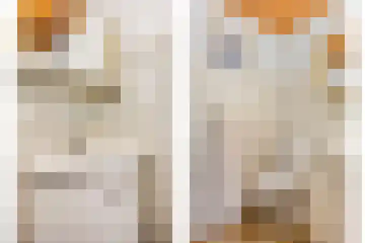 Boveneind 95 Leek thumbnail 25