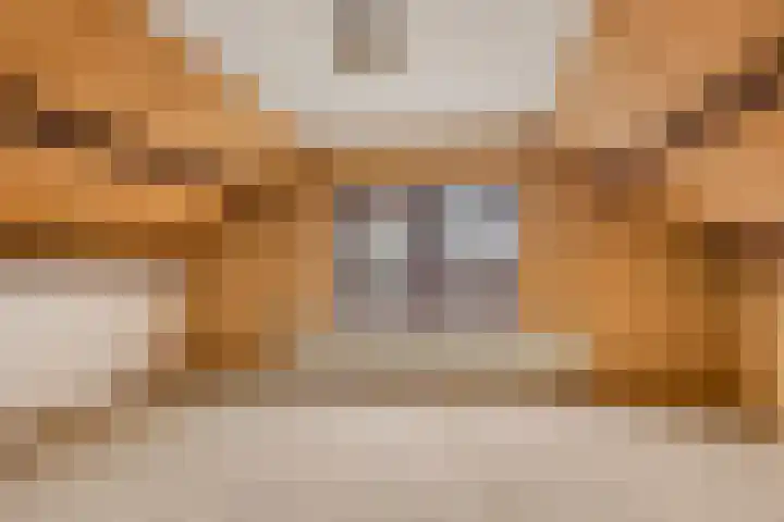 Boveneind 95 Leek thumbnail 26