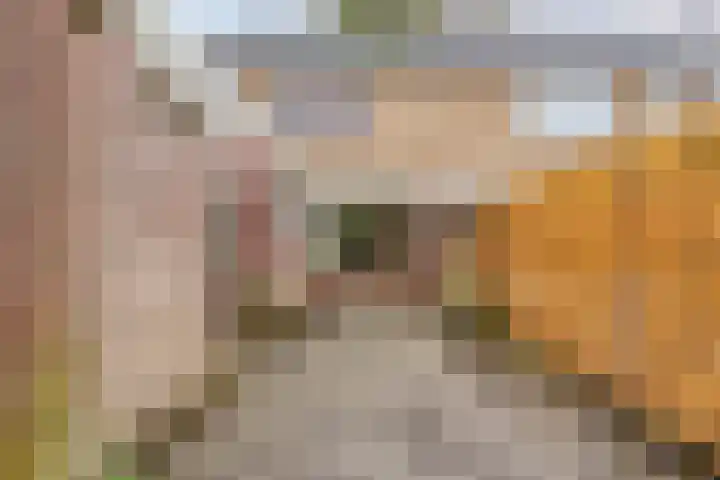 Boveneind 95 Leek thumbnail 30