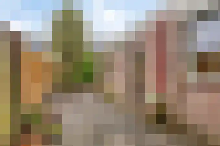 Boveneind 95 Leek thumbnail 32