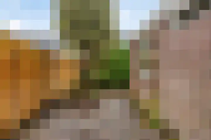 Boveneind 95 Leek thumbnail 33