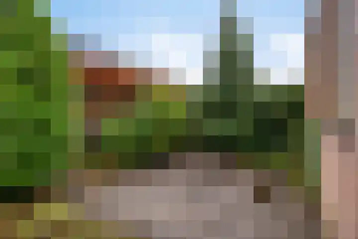 Boveneind 95 Leek thumbnail 34