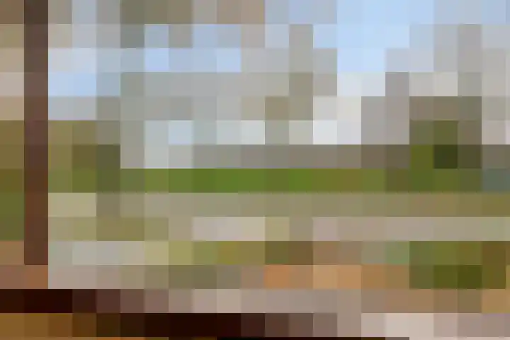 Boveneind 95 Leek thumbnail 35