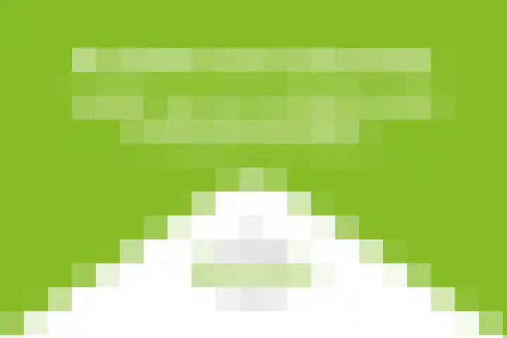Boveneind 95 Leek thumbnail 4
