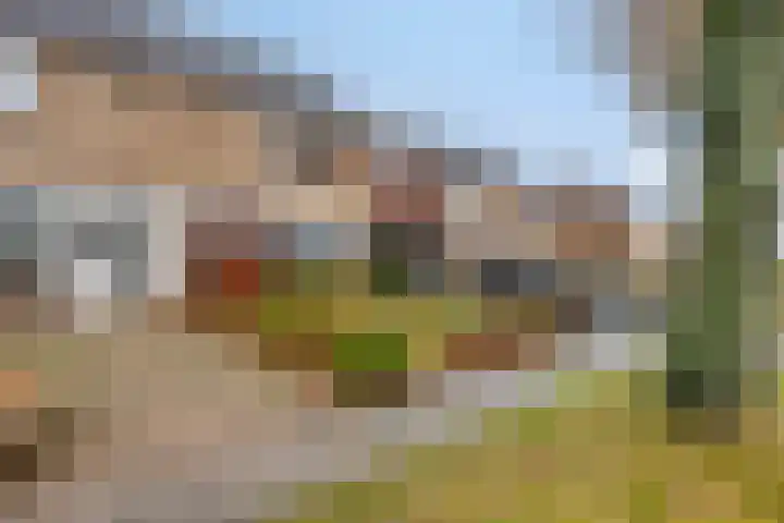 Boveneind 95 Leek thumbnail 40