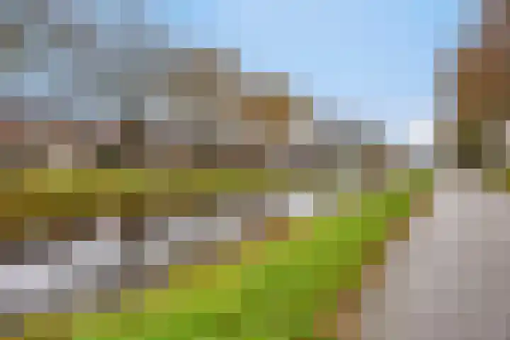 Boveneind 95 Leek thumbnail 43