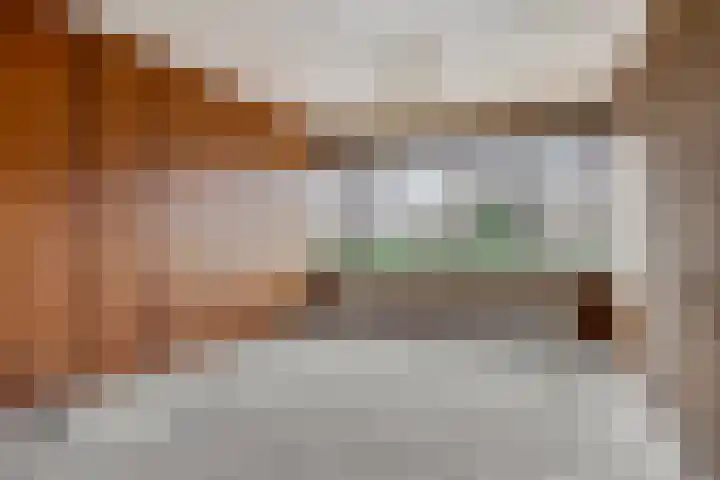 Boveneind 95 Leek thumbnail 9