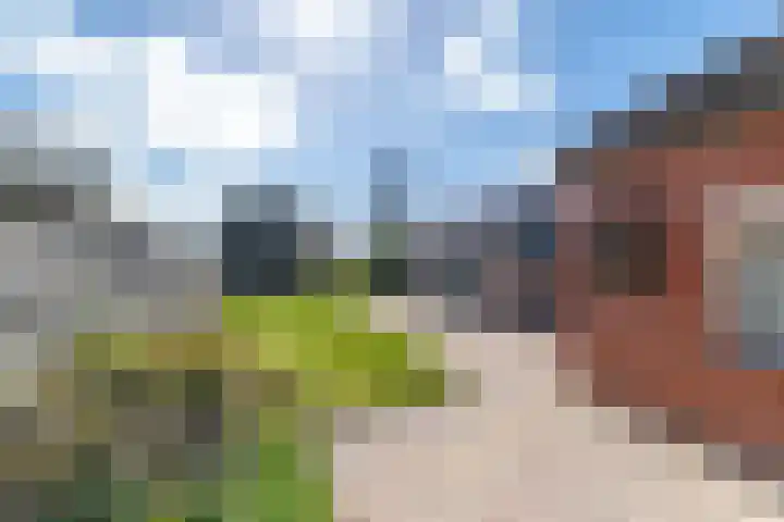Bovenhuizen 21 Uithuizen thumbnail 27