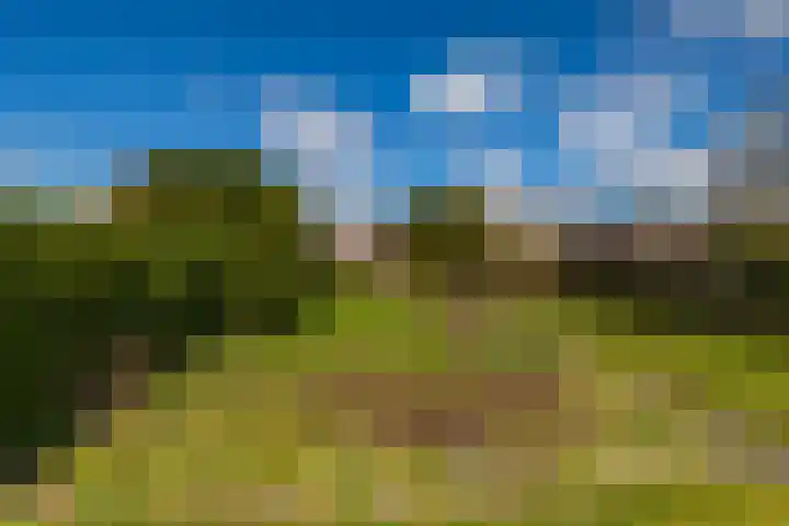 Bovenhuizen 21 Uithuizen thumbnail 30