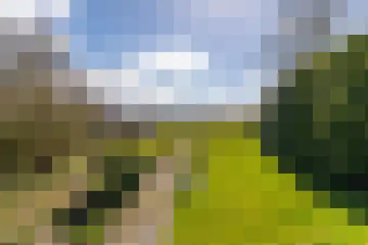 Bovenhuizen 21 Uithuizen thumbnail 31
