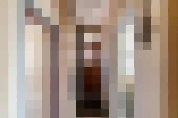 Bovenhuizen 21 Uithuizen thumbnail 5