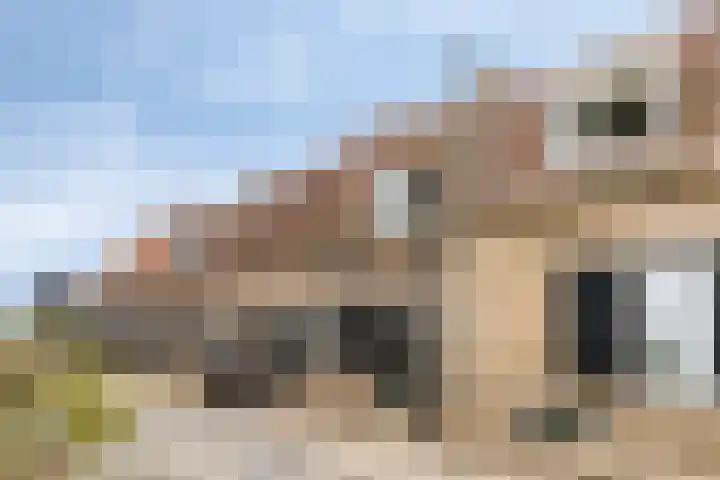 Bovenkade 4 Willemstad thumbnail 24
