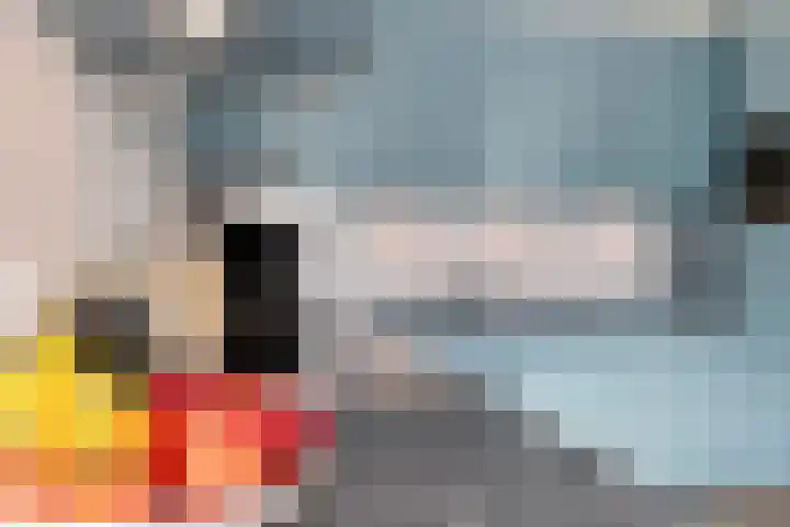 Bovenkruier 7 Dalen thumbnail 18