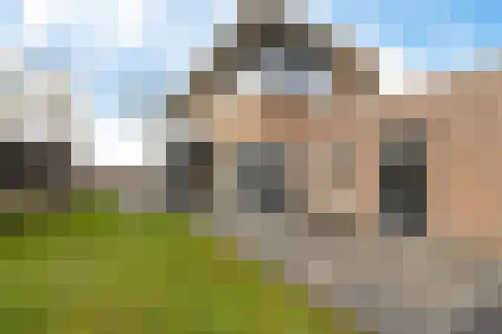 Bovenkruier 7 Dalen thumbnail 4