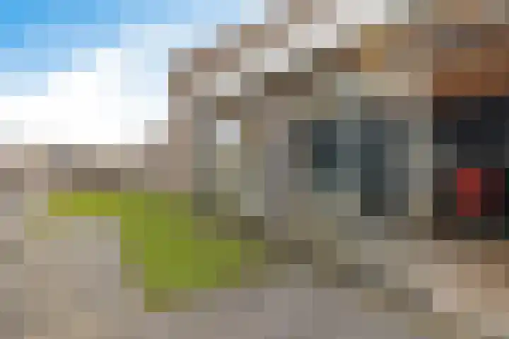 Bovenkruier 7 Dalen thumbnail 44