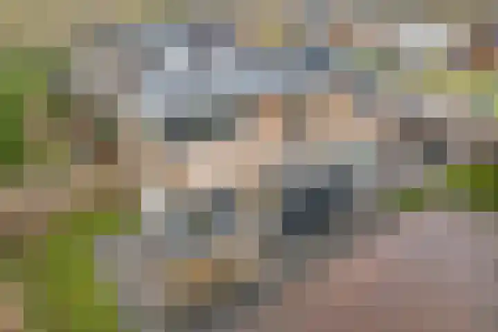 Bovenkruier 7 Dalen thumbnail 9
