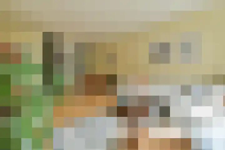 Bovenover 33 Amsterdam thumbnail 9