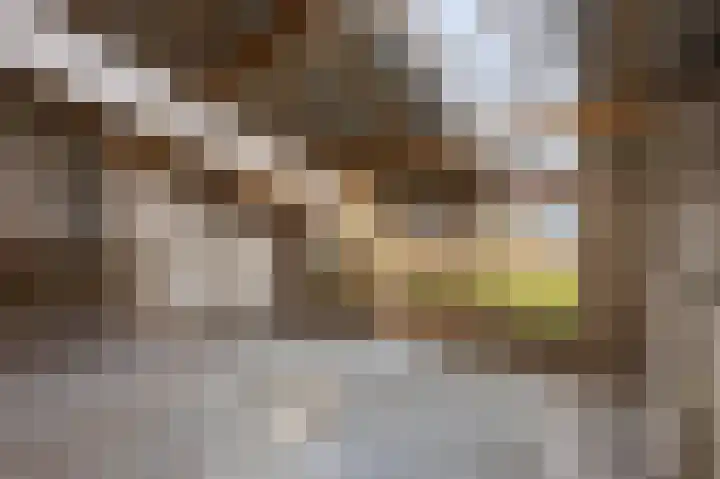 Bovenste Eind 12 Echt thumbnail 13