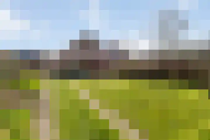 Bovenste Eind 12 Echt thumbnail 17