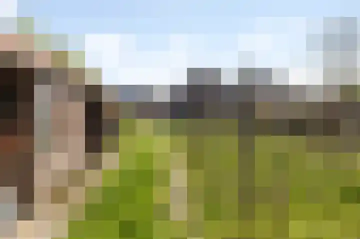 Bovenste Eind 12 Echt thumbnail 19