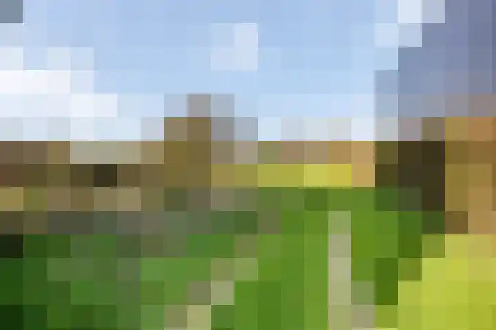 Bovenste Eind 12 Echt thumbnail 22