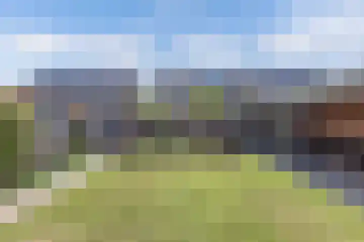 Bovenste Eind 12 Echt thumbnail 67